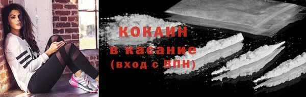 шишки Краснослободск