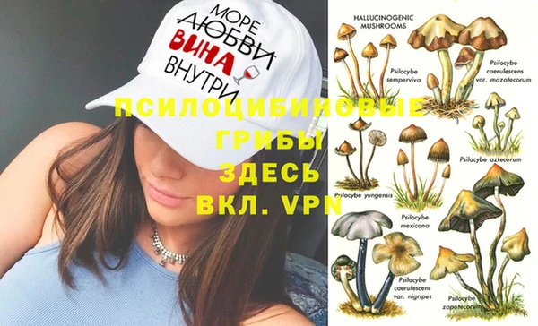 гидропоника Аркадак
