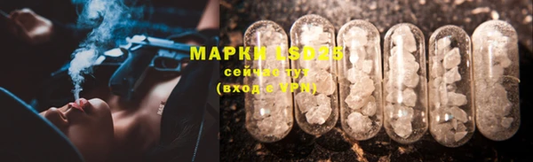 гашик Армянск