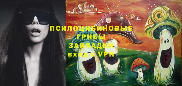 винт Арсеньев