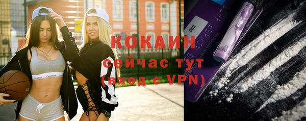 винт Арсеньев