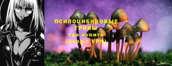 винт Арсеньев