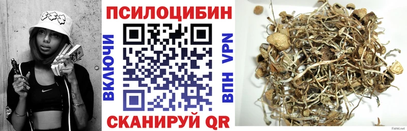 даркнет сайт  Барыш  Псилоцибиновые грибы мухоморы 